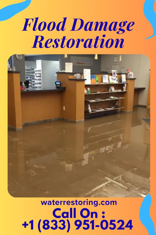 Flood Damage Restoration in St. Francisville, LA