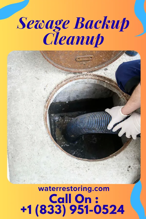 Sewage Backup Cleanup in St. Francisville, LA